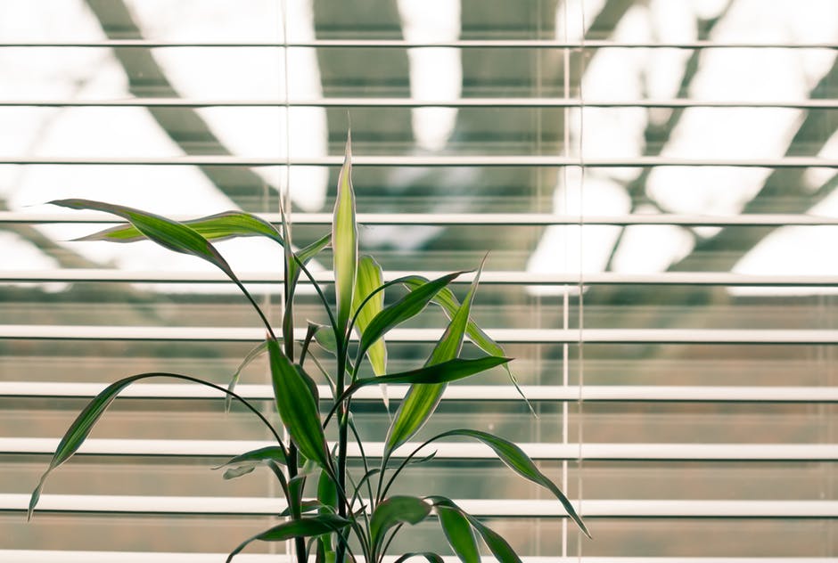 how to clean blinds